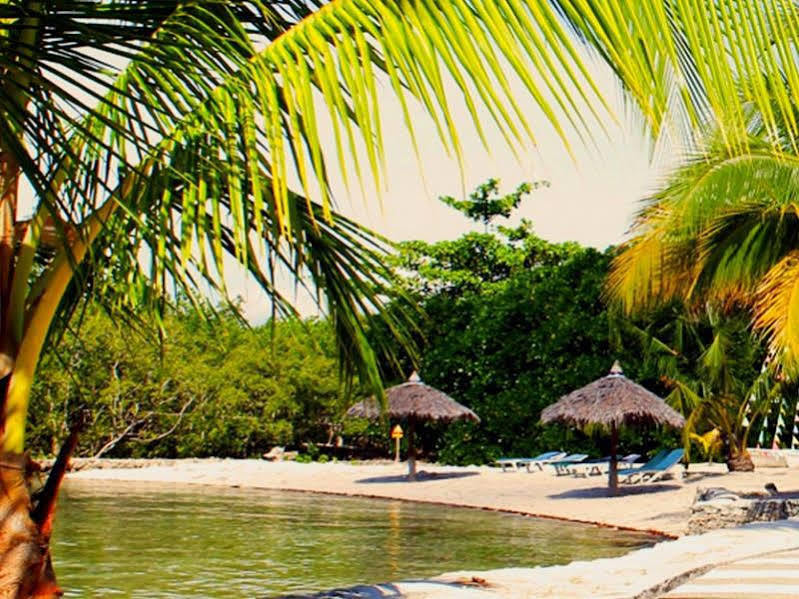 Whispering Palms Island Resort Bacolod Kültér fotó