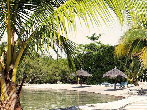 Whispering Palms Island Resort Bacolod Kültér fotó